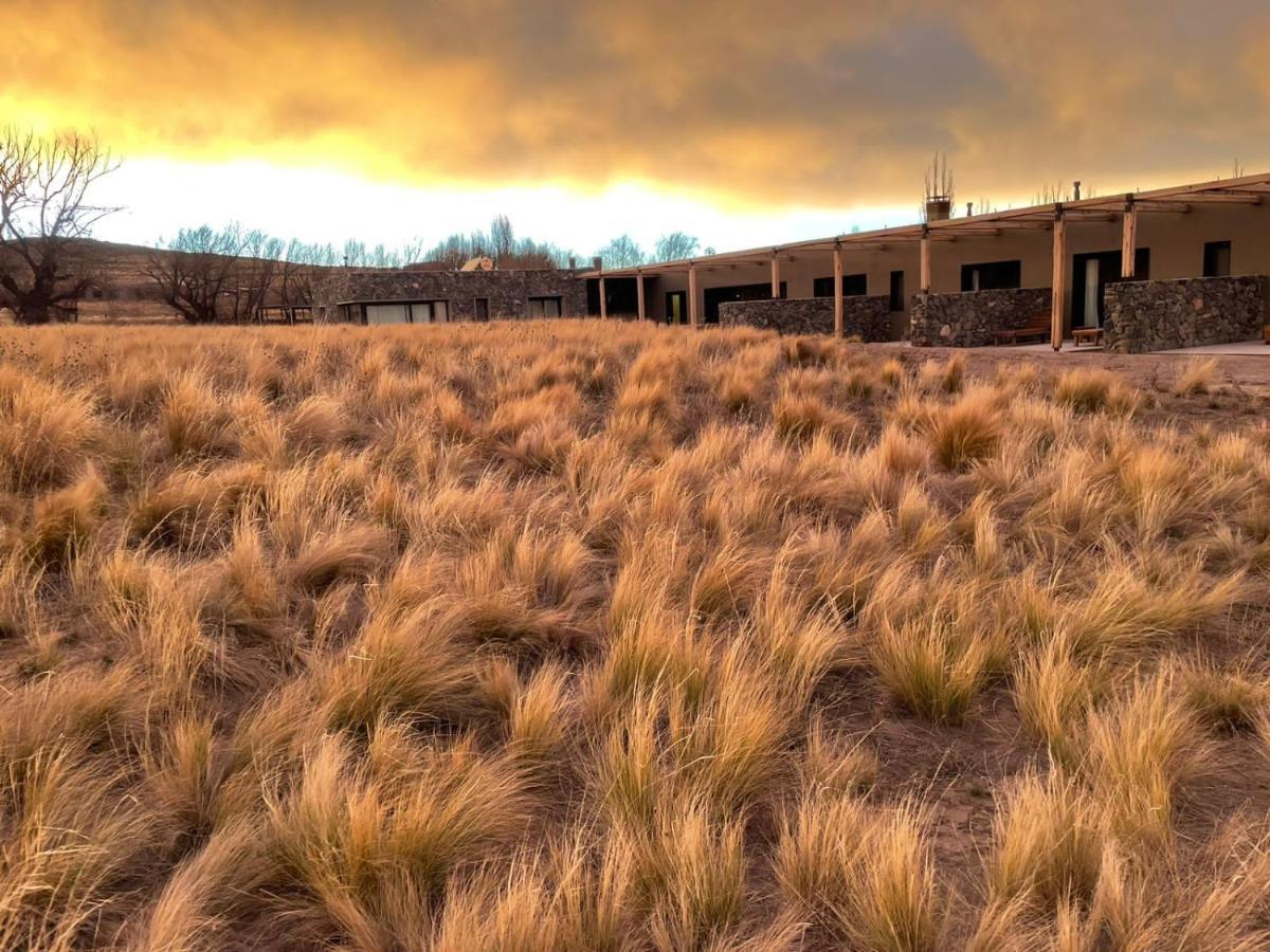 Rancho Adobe Eco Hotel Tupungato Εξωτερικό φωτογραφία